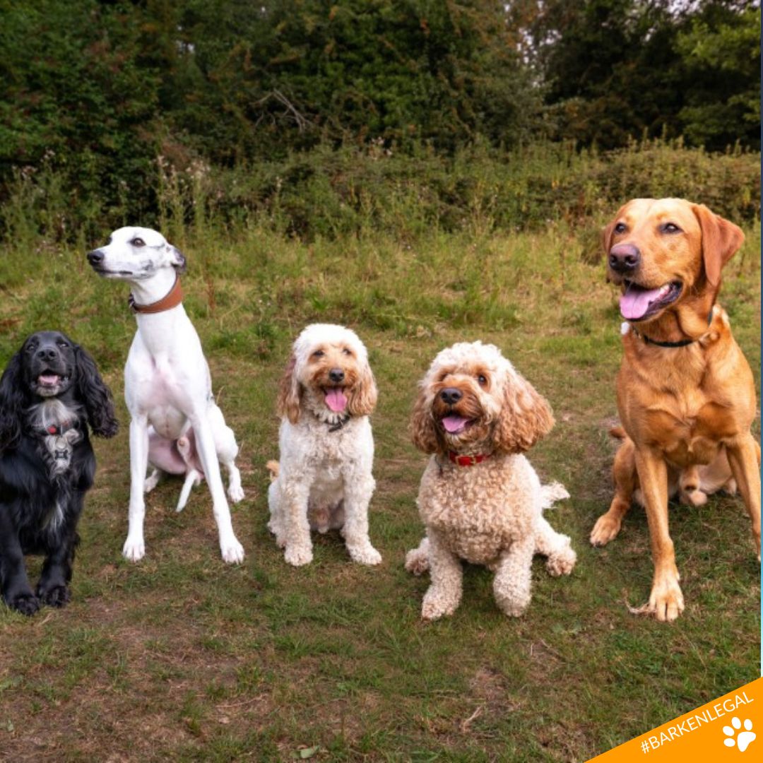 Arken.legal tweet media