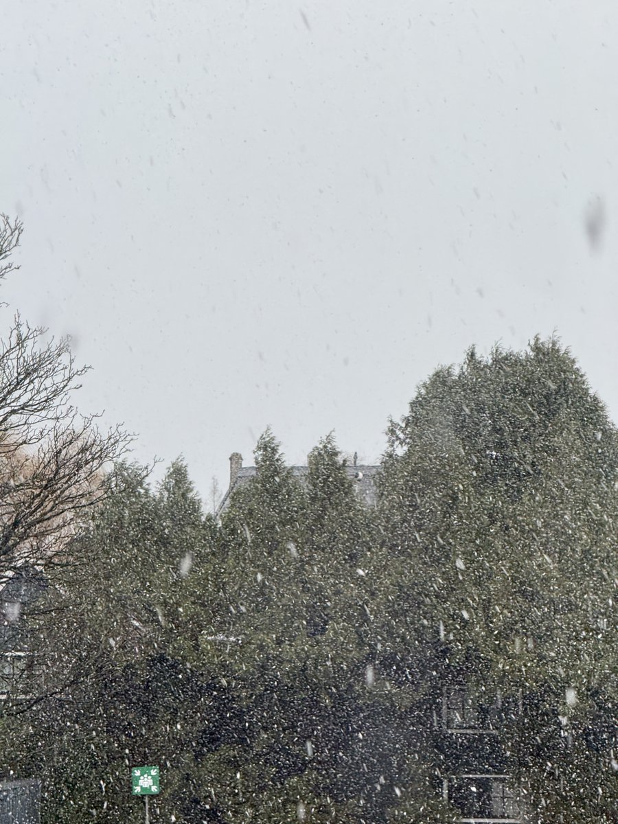 PrinLTSG's tweet image. First office day, matcha and snow of the year