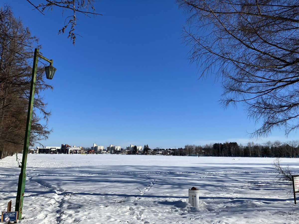 帯広のグリーンパークのウォーキングコースがとても良くて発見だった。氷点下の散歩は心が洗われるようで気持ちいい。