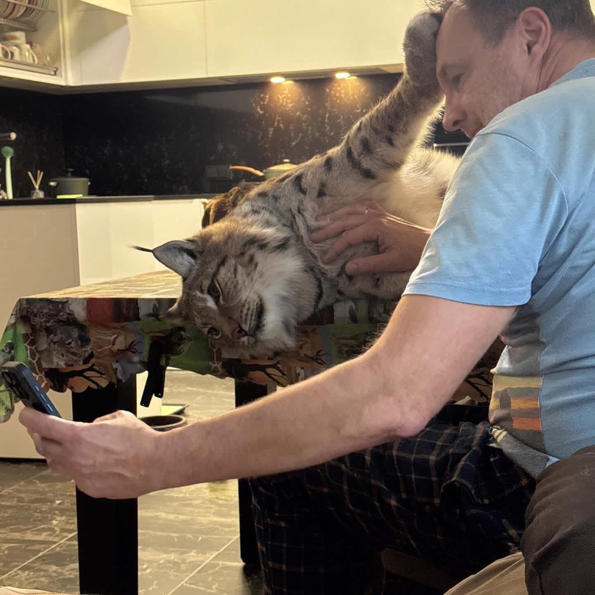 Илья Смолин tweet media