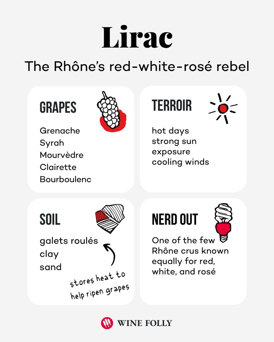 Wine Folly tweet media