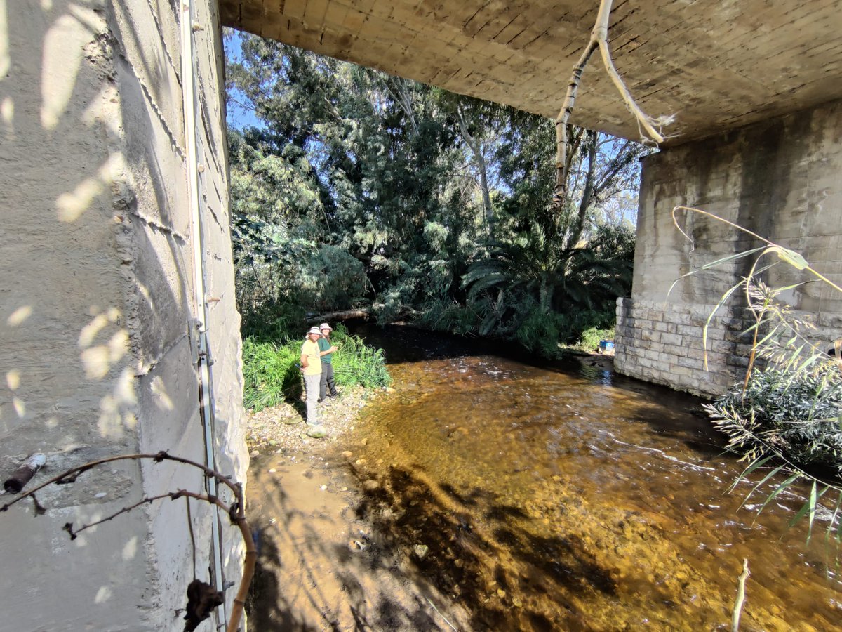 levintal_lab's tweet photo. One of our field days in Sorek stream — exploring the area, identifying potential sites for future water-quality sensor installations, and discussing the next steps of the research https://t.co/Y87n1pijBP