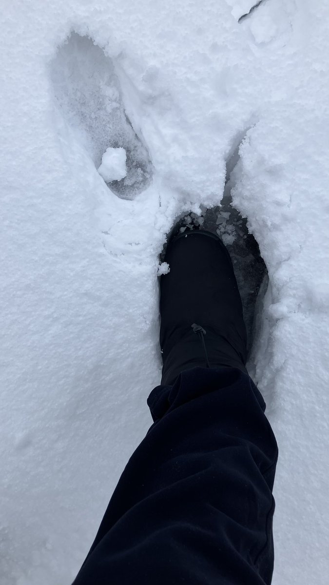 Mtyaji's tweet photo. 2026.01.02

今年もよろしくお願いします
雪です☃️

#島根県 https://t.co/EAm2v8yDvJ
