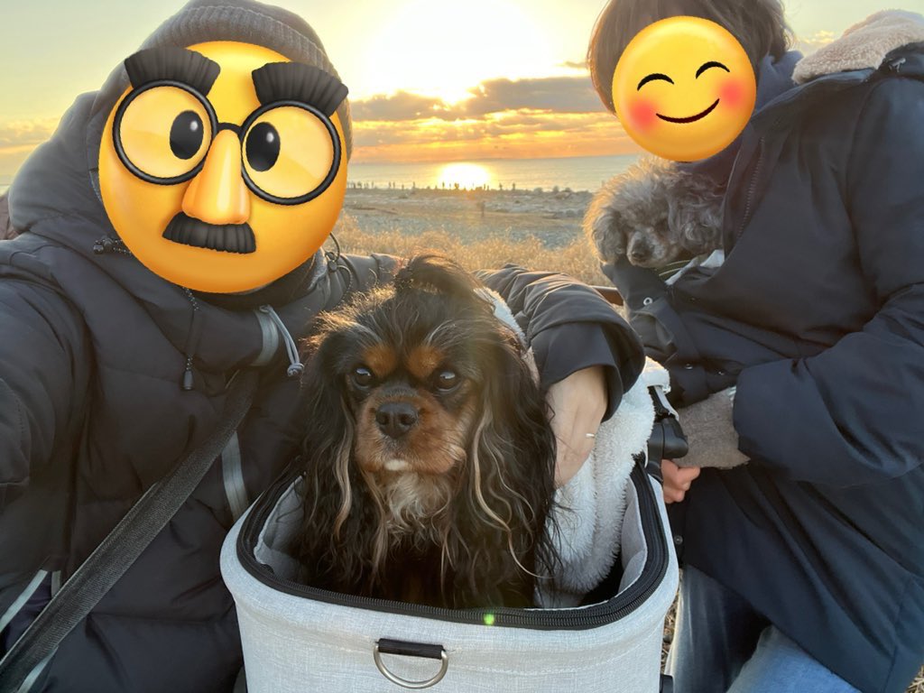 ジョニー・デブ tweet media