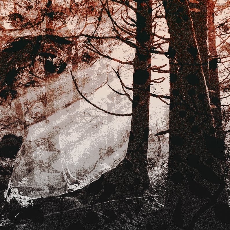 rainyfreesia's tweet image. ⠀    
 ⠀   
⠀    ⠀ ⠀      𝗧𝗛𝗘𝗦𝗘   𝓋𝘪𝘰𝘭𝘦𝘯𝘵                                     
⠀        ⠀ ⠀      DELIGHTS.⠀     ཾ༵･ ⟢
⠀ ⠀    
 ⠀