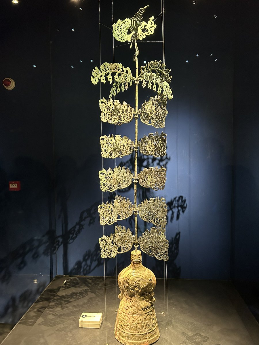 2026，在摇钱树下许个愿