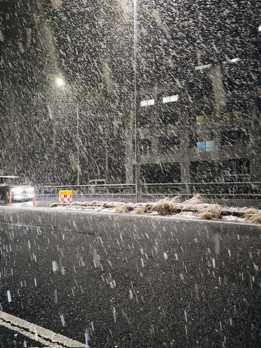 のど仏 (@nodo777) / Posts / X