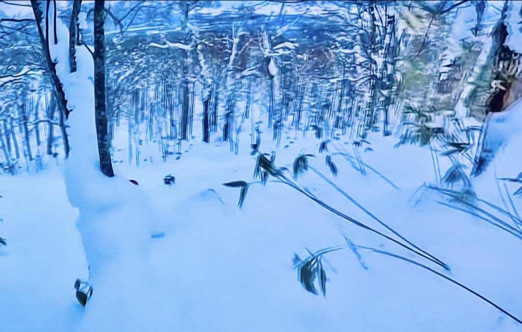 Subhranil Banerjee tweet media