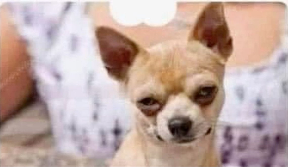 Nobody:
Me staring at the dead body in movies to see if i can catch he/she breathing