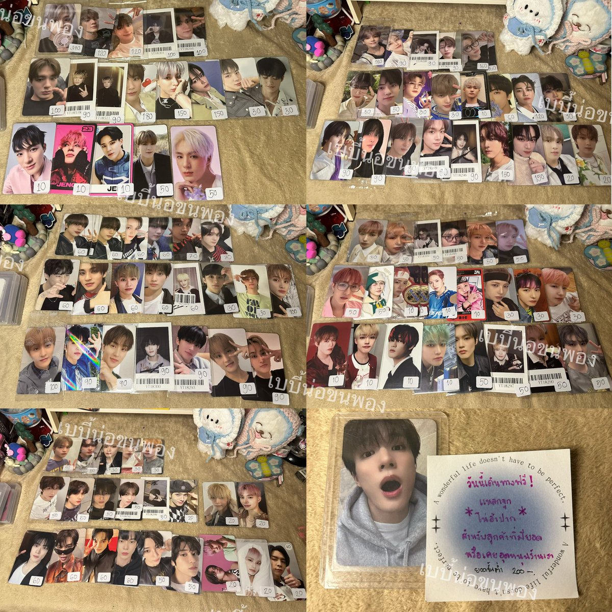 🪄 pls re&amp;feb 

ป่อยป่อย วันนี้ วันนี้ 🎀
💋ราคาตามในรูปเลยค้าบ🚨

กติกา ✎ พิมพ์ F ตามด้วยชื่อ ในไลฟ์ ✎ 

🪫 16:30 น. หนึ่งทุ๊มมาเลย 👀

🙏🏻✨tiktok.com/@babysubalauyo…

แวะเข้ามาคุยเล่นกันนะคะ🫳🏻

#ตลาดนัดอซท #ตลาดนัดnct #ตลาดนัดnct127 #ตลาดนัดnctdream