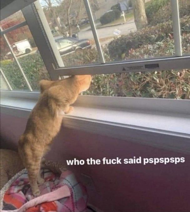 onlineinsane's tweet image. 