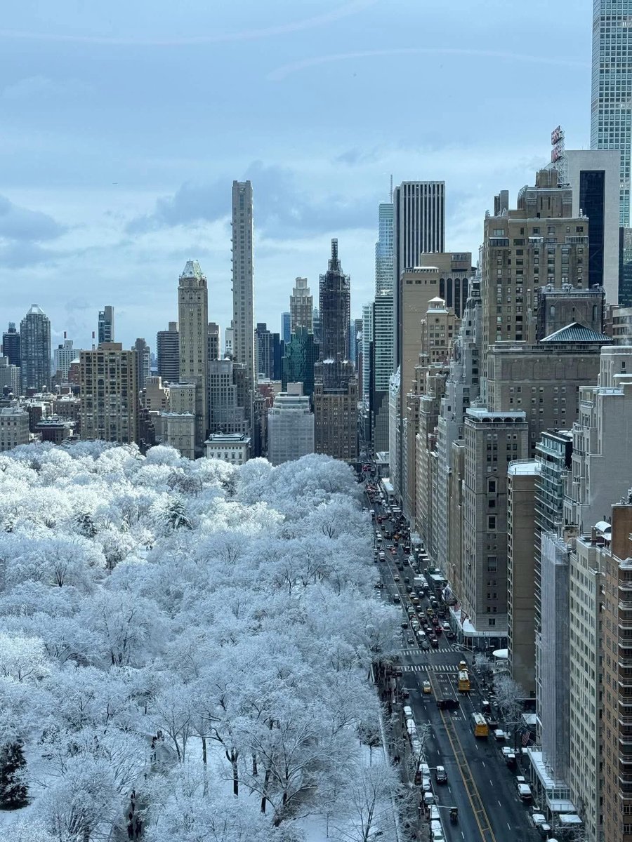 Aerial view of Central Park, New York