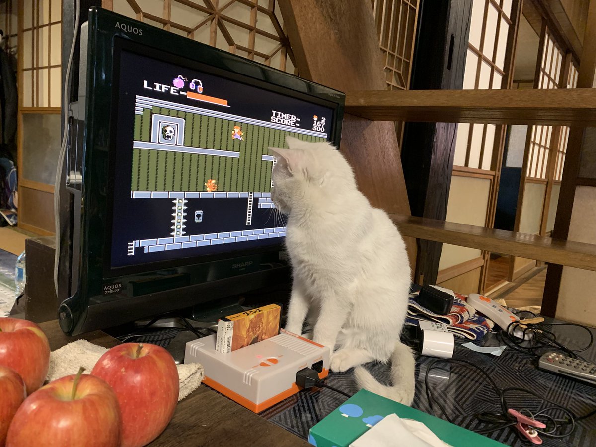 kikutiGenta's tweet image. 良い年初めだ