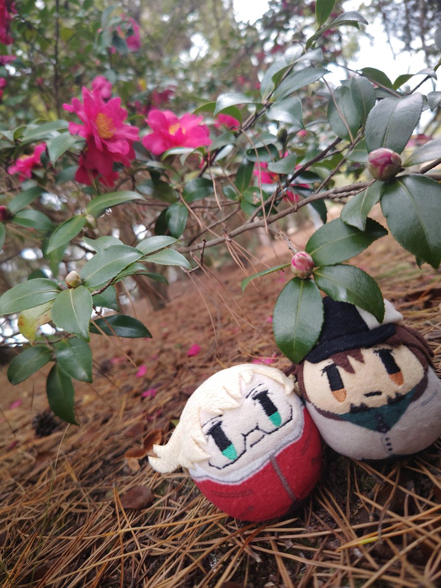 今日はちょっとだけころ散歩
人っ子一人いない公園でウロウロしてた