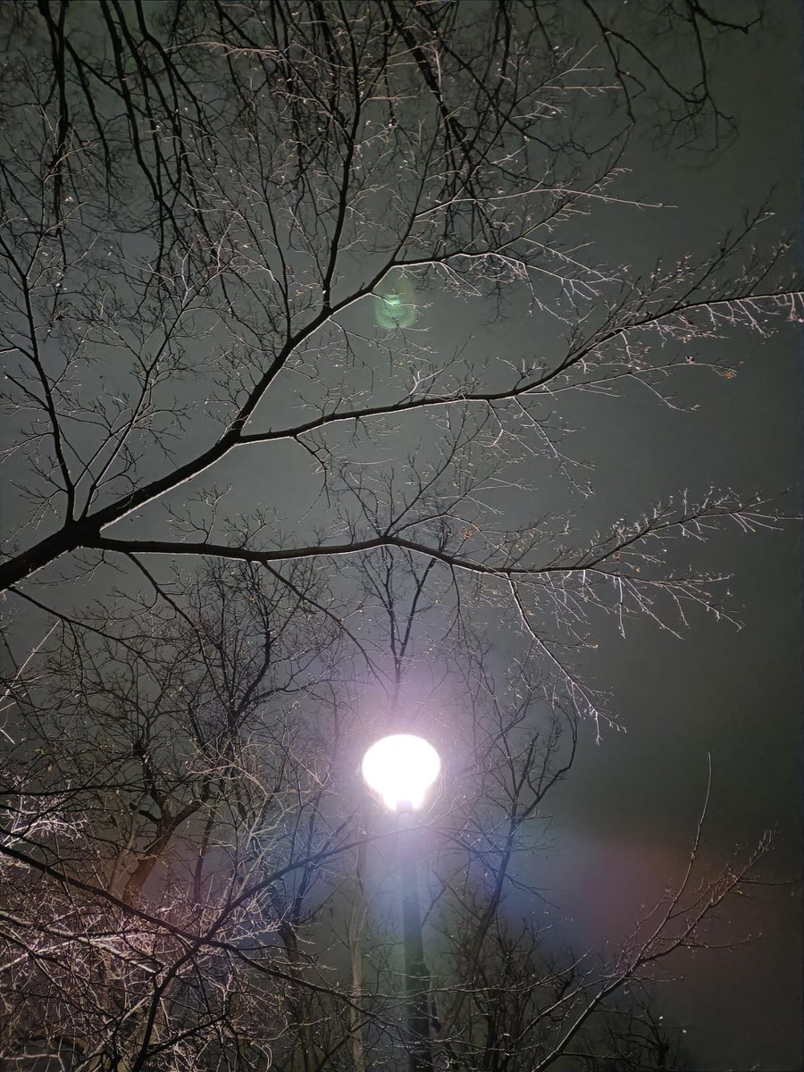 ねる会議 tweet media