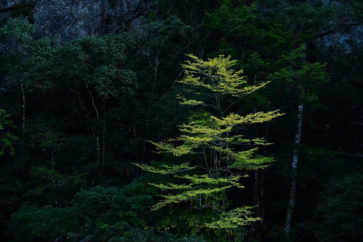 8703photography's tweet photo. https://t.co/5ZQmMEeEhD