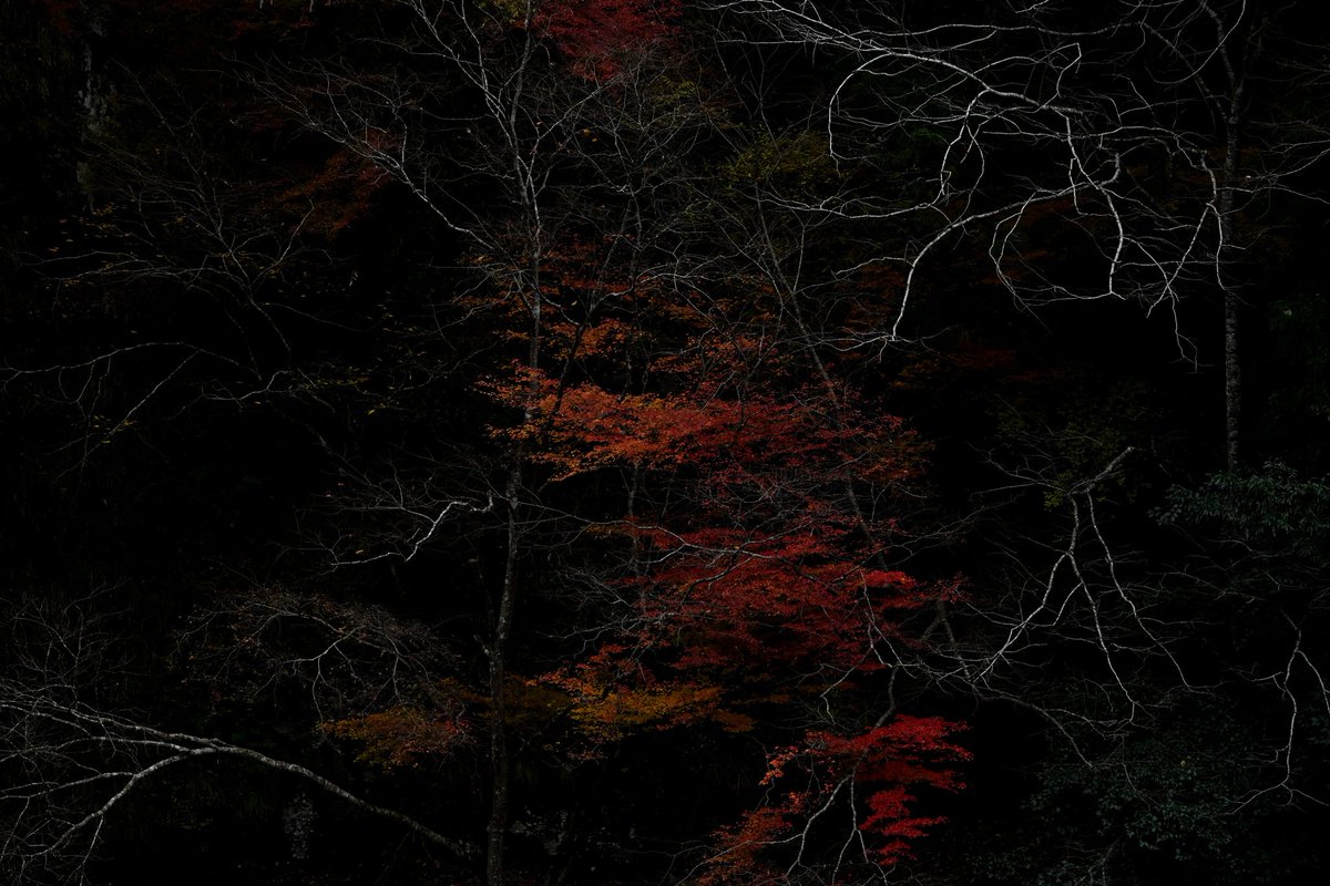8703photography's tweet photo. https://t.co/5ZQmMEeEhD