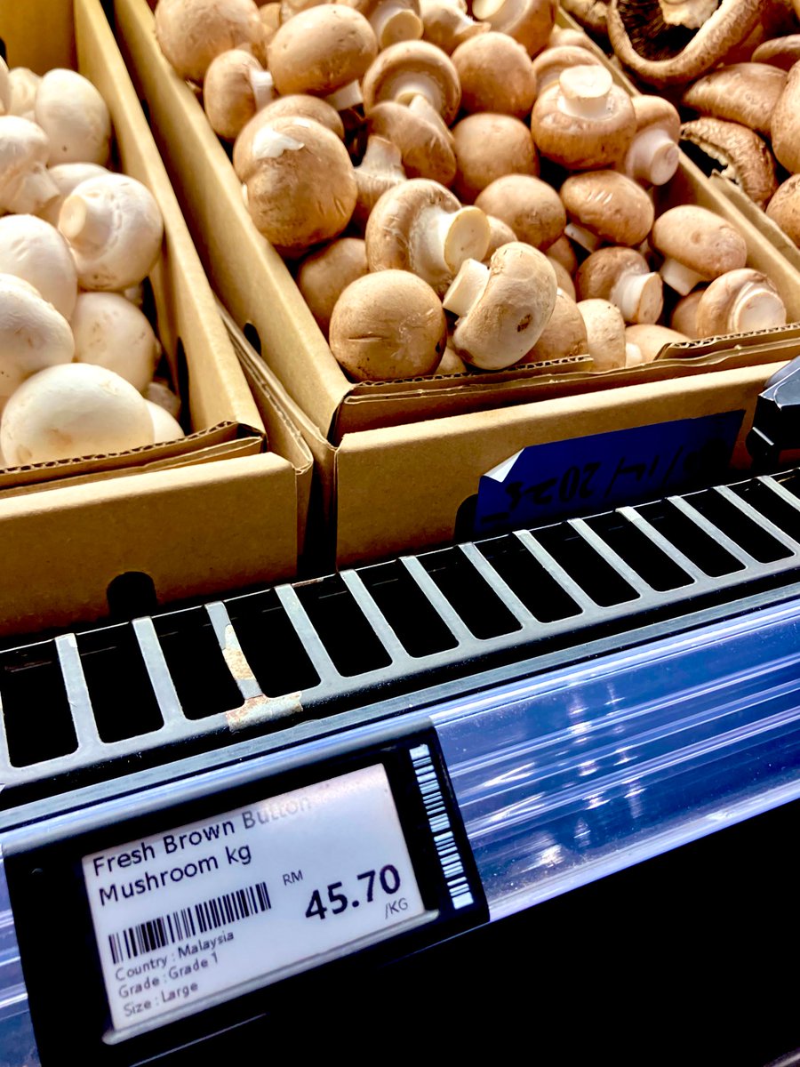 マッシュルーム