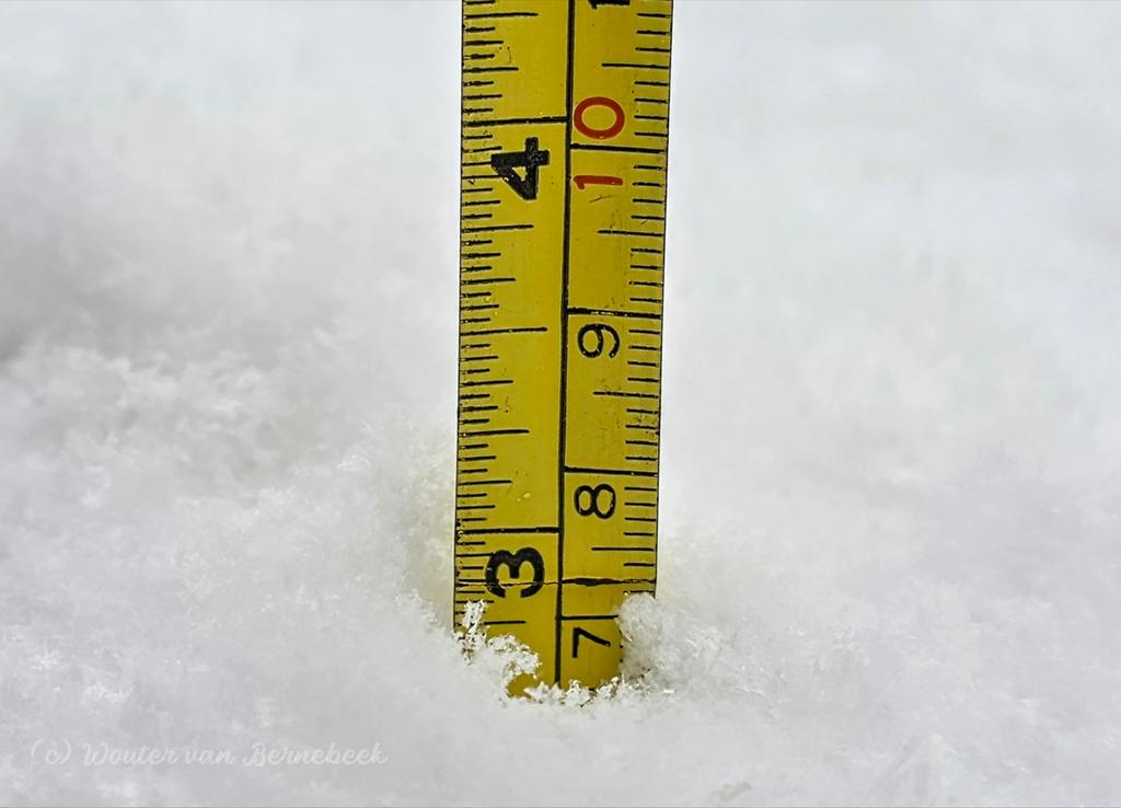 Wouter van Bernebeek tweet media