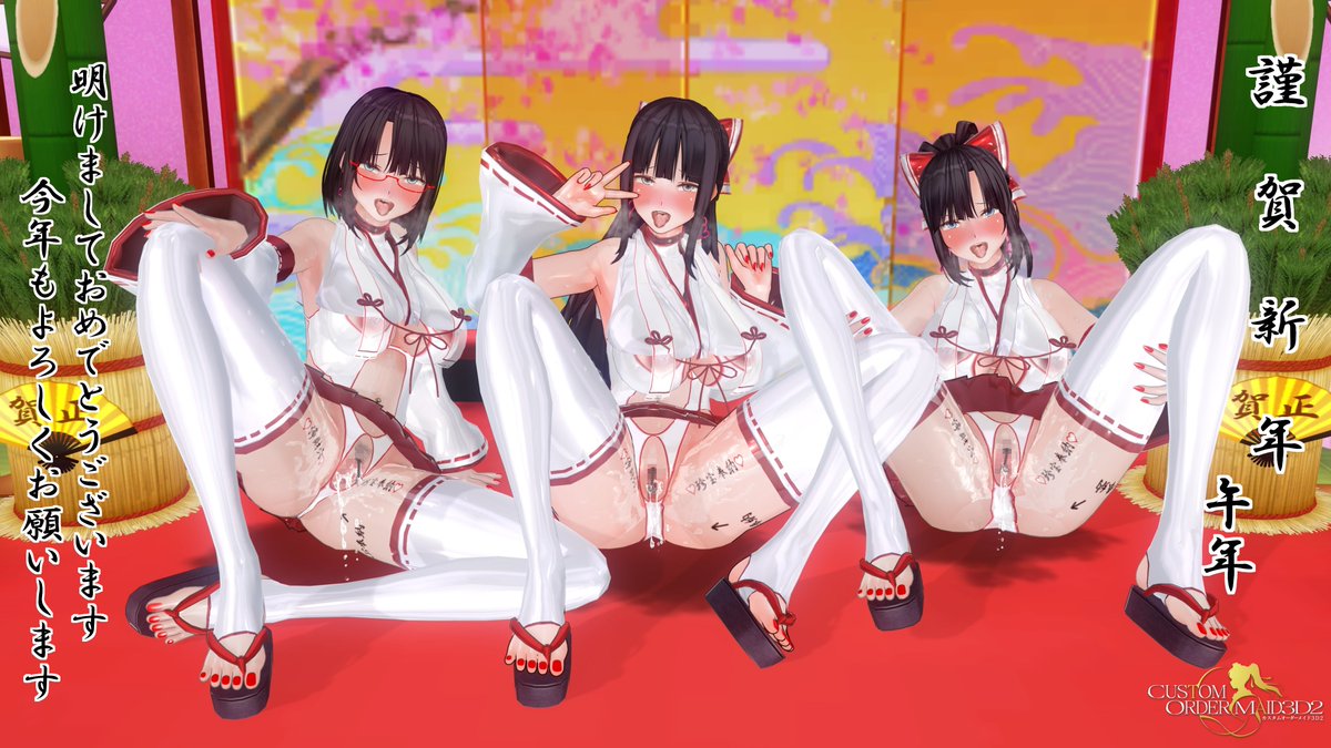 改めまして、明けましておめでとうございます。 