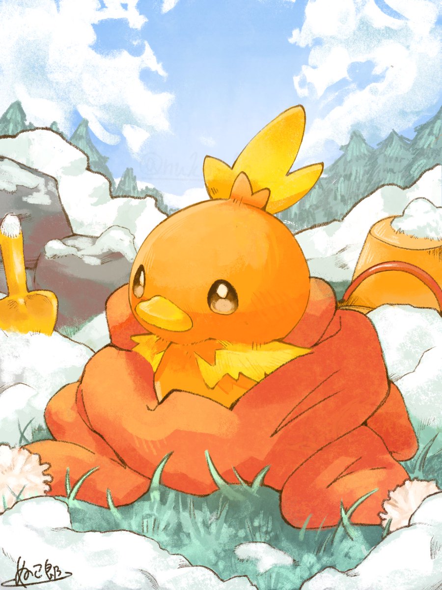 ぬこ郎 tweet media