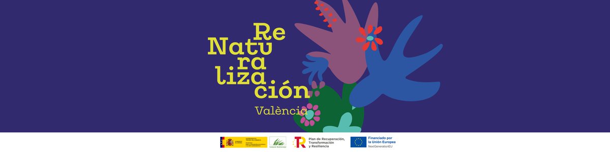 València Verda tweet media