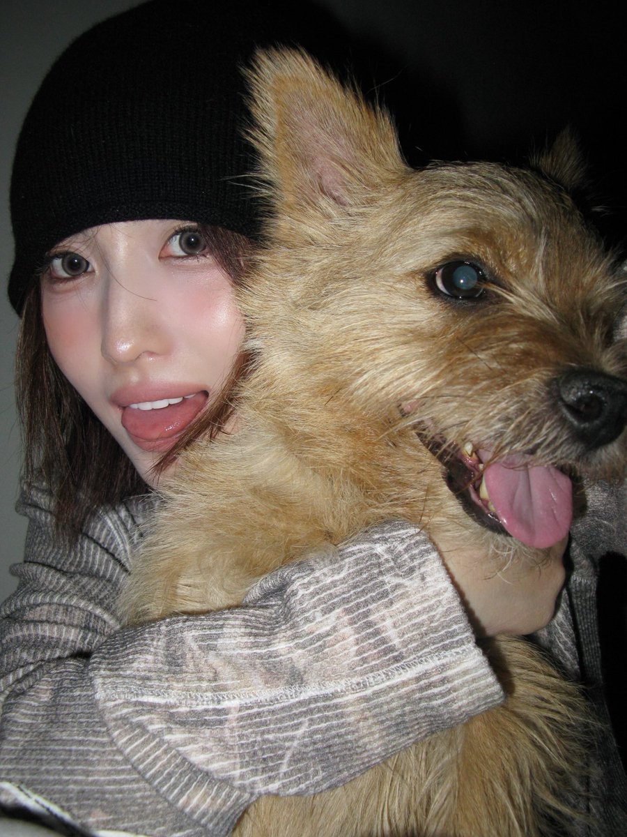 tw__msm64's tweet image. ぶーぶーお誕生日おめでとう🎂♡𓂃 𓈒𓏸◌
いつも癒しをありがとう~絶対長生きしてね❕
 #HappyBooDay #Boo #MOMO #모모 #モモ