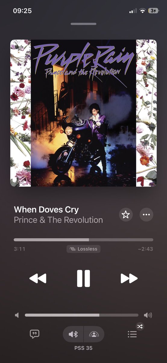 emisonsebert's tweet image. i would like to thank stranger things for introducing me to this BOP