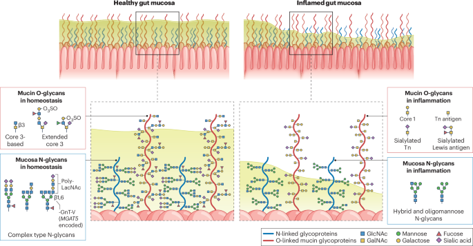 Nature Reviews Gastroenterology & Hepatology tweet media