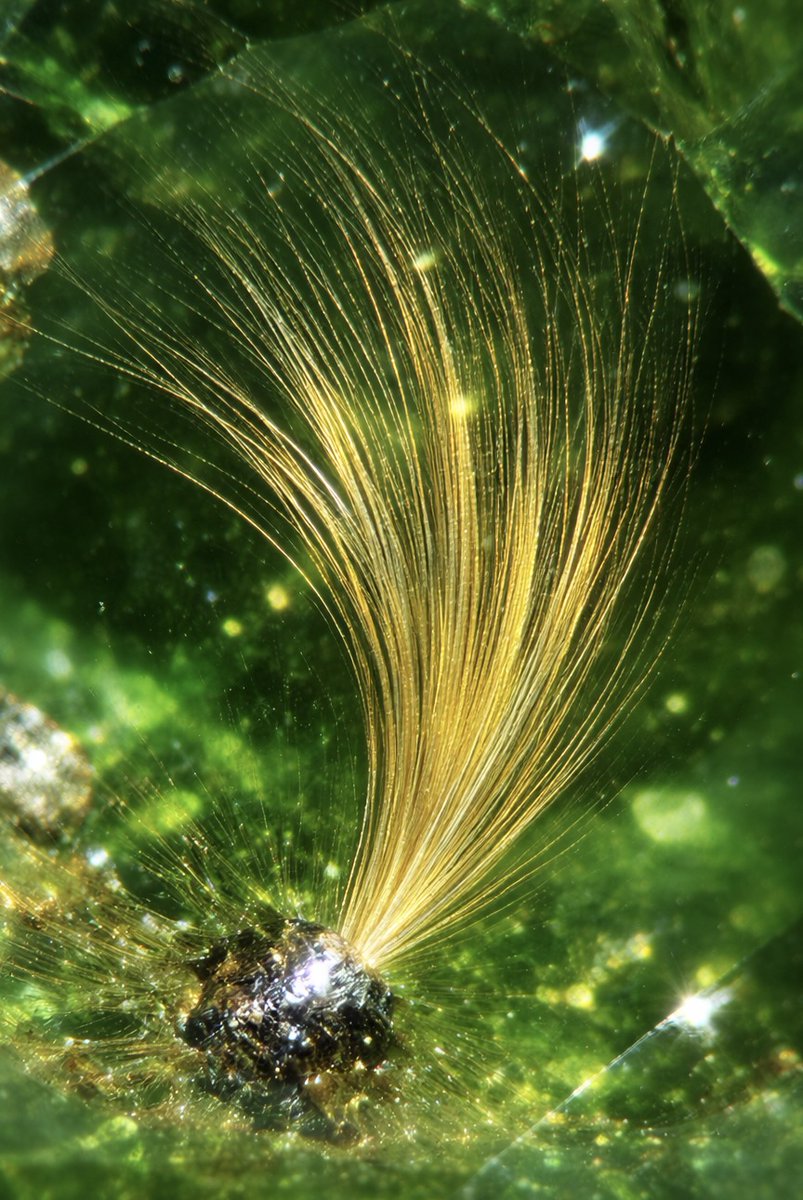 Kei Suzuki｜宝石鑑定・研磨士 (@FrederickGems) / Posts / X