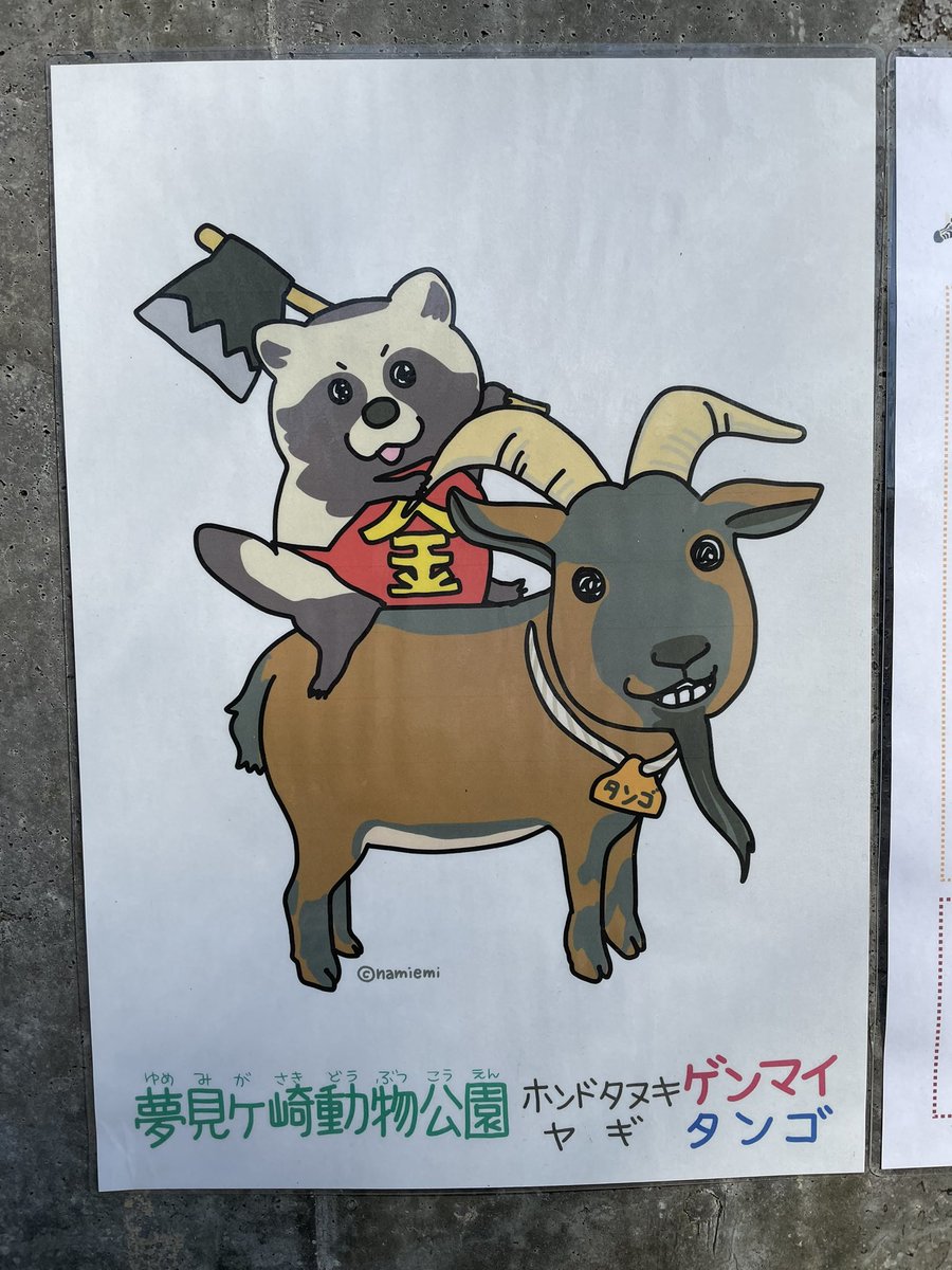 hoti_d1's tweet photo. 帰省先の夢見ヶ崎動物公園のスーパーアイドル・ゲンマイさんはまだ寝正月中でした。

#日刊ゲンマイ さんでおなじみ https://t.co/MufnZqs3B5
