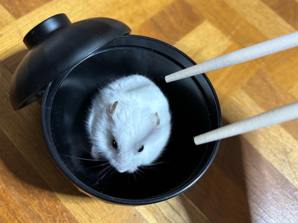 お雑煮になりました