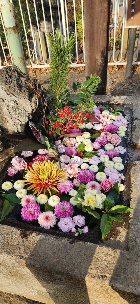 0520Legend's tweet photo. 川越・浮島稲荷神社さまの花手水

2026.01.02 tweet

#川越花手水 #花手水　
#花手水アニキ #花手水男子
#花手水めぐり https://t.co/kvOZN4jgP2