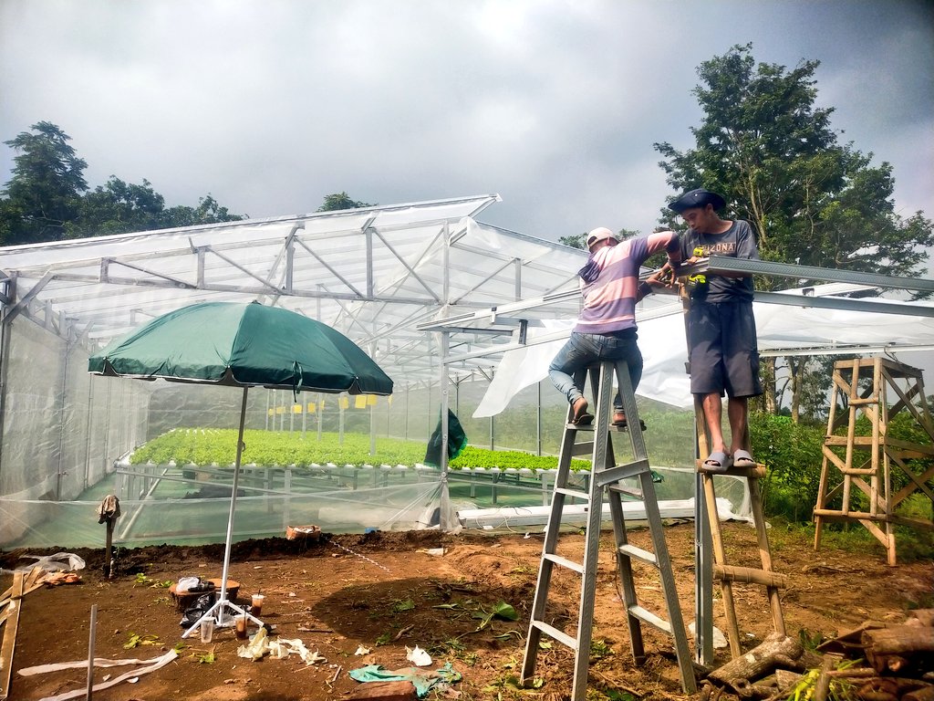 ydhtama's tweet image. Terima kasih 2025, satu tahun buat 2 greenhouse full modal dari teman-teman investor.
Mari kita sambut 2026 dengan langkah dan hasil yang terbaik.

*tungguin notif bagi hasilnya yaa teman-teman investor*

silahkan bagi yang berminat berinvestasi di greenhouse kami bisa lanjut dm.