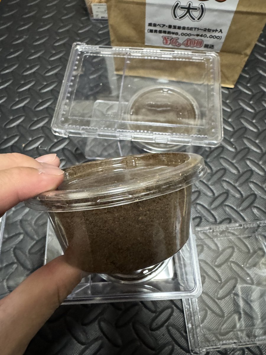 インセクトジョーカーの福袋開けてみたらラベル無しの幼虫が３つ入ってた。どうしよう…