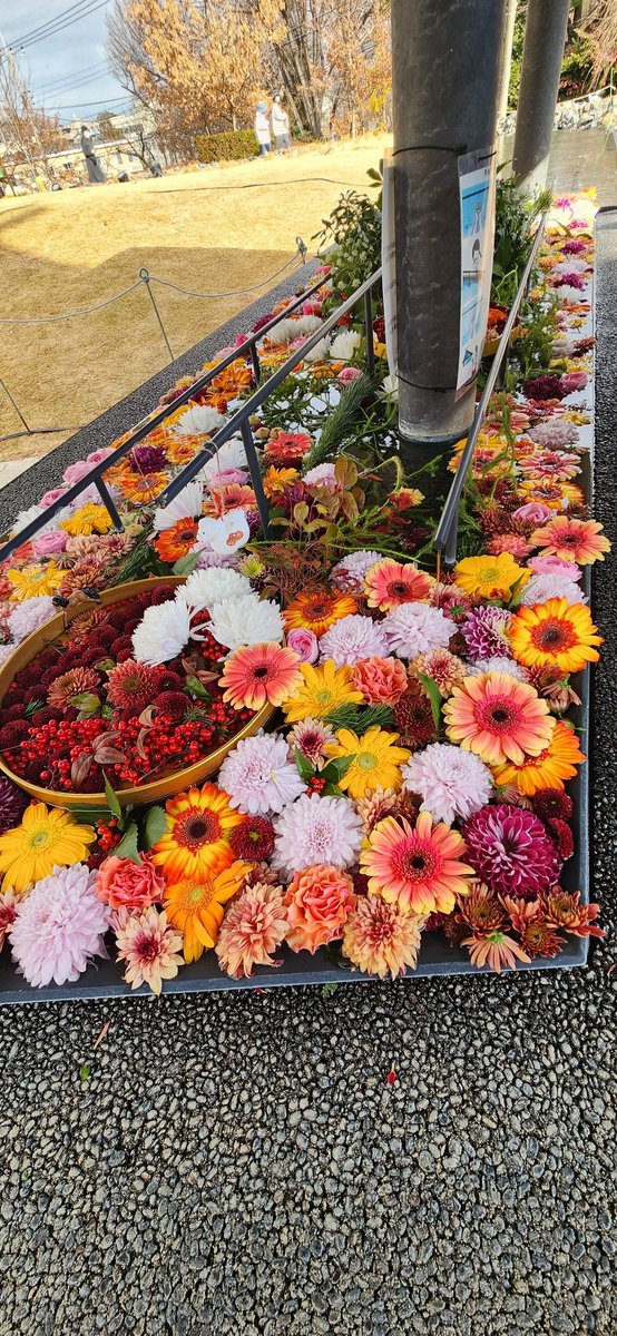 0520Legend's tweet photo. 2026.01.02
武蔵野令和神社さま❷

#花手水 #花手水めぐり
#花手水男子 #花手水アニキ https://t.co/2p54ozi4Po