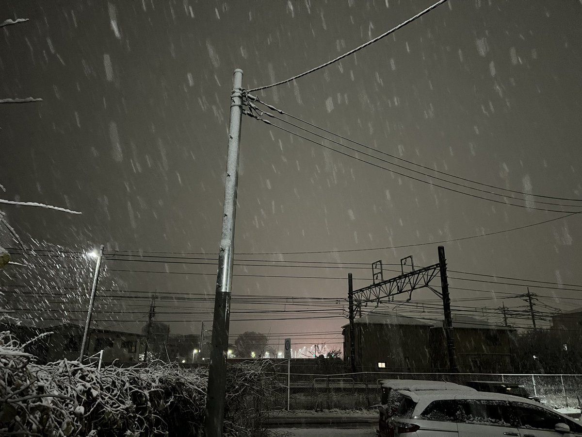 DragVmax's tweet image. 。。。☃