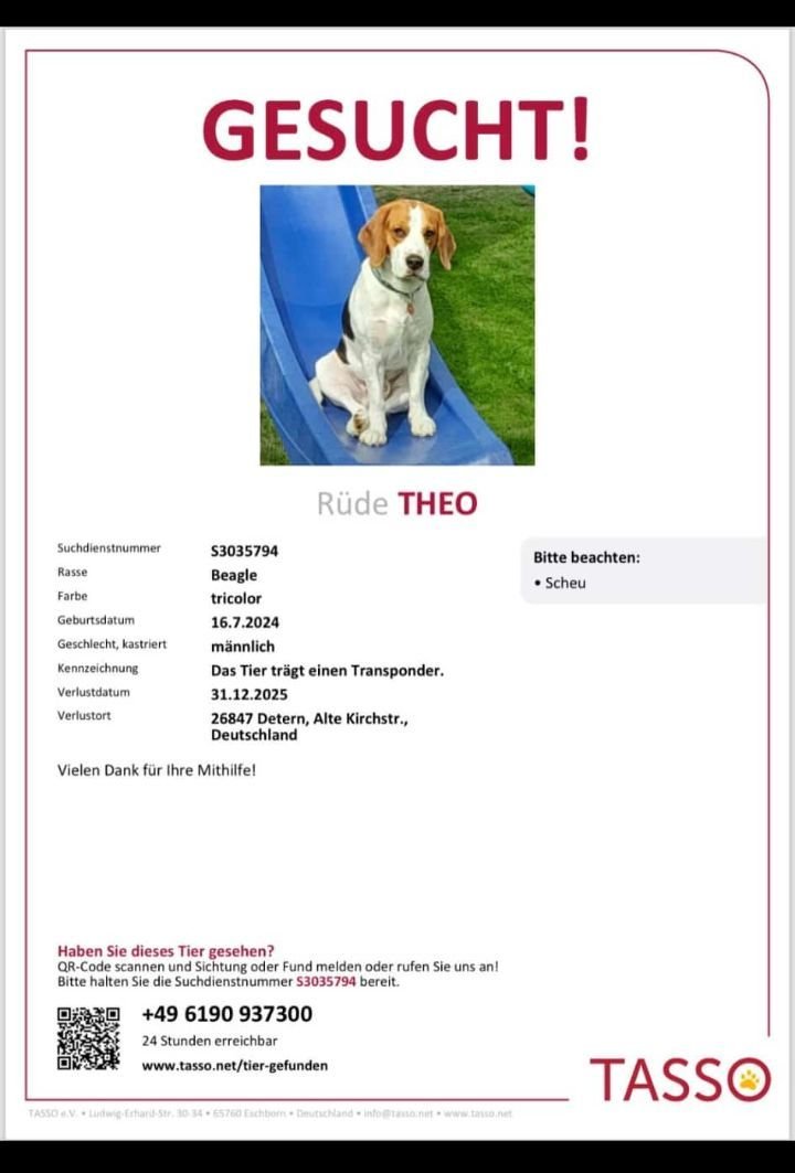 yolandaschultes's tweet image. Bitte teilen Theo wird schmerzlich vermisst!