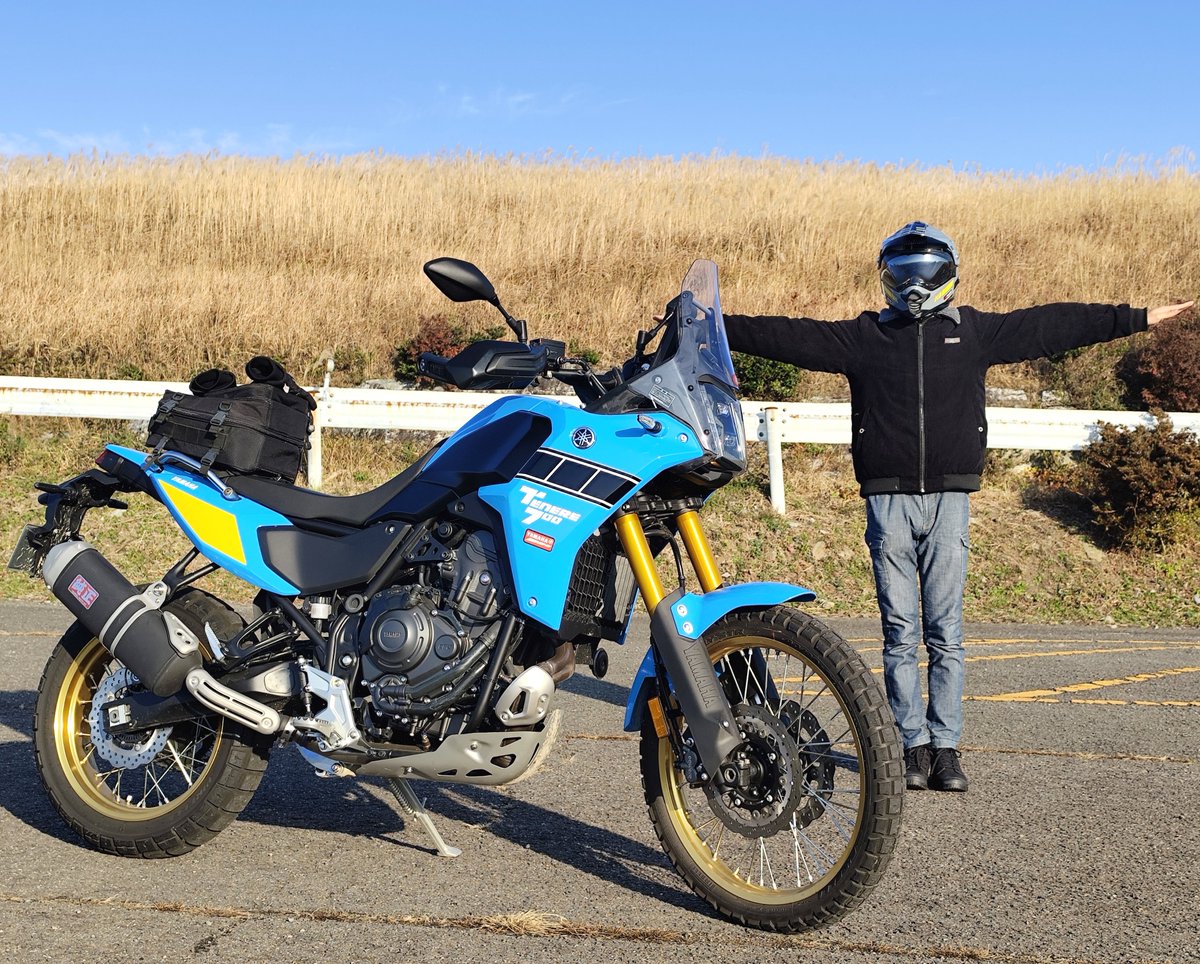 みけらん tweet media