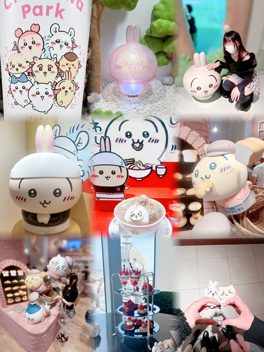 Djどんぐり tweet media