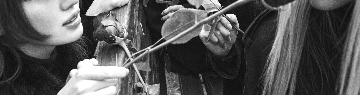 hraum's tweet image. we’ve been here before, in a dream you haven’t had yet. 🥀