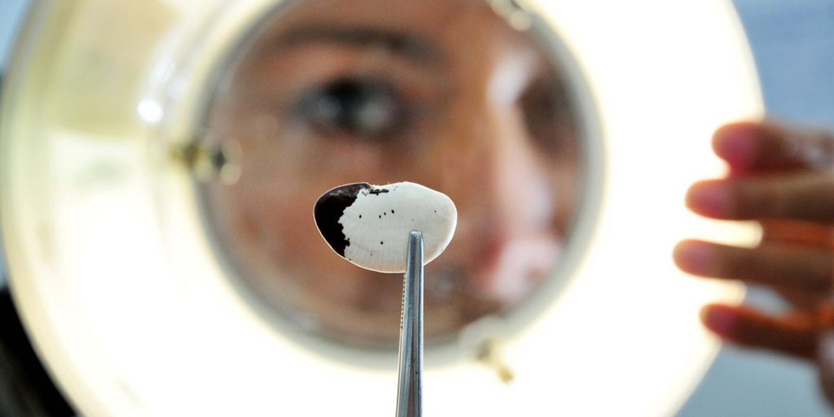 Alliance of Bioversity International and CIAT tweet media