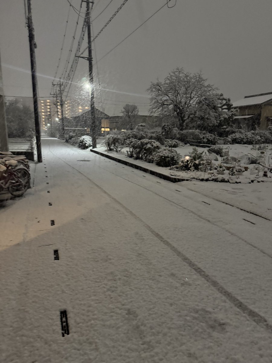 ボールぺぇそん　ゆーき tweet media