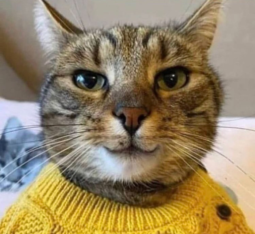 Çevre illerin kar storylerini dondurucu soğukta sınava giderken annemin ördüğü kazakla ç8 de izlerken rolleniş 😅