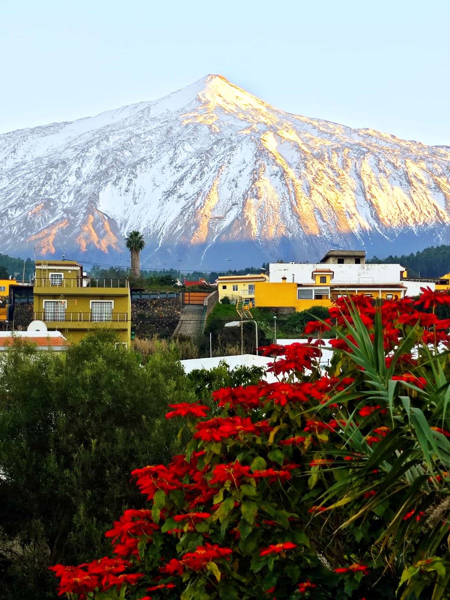 Feliz año nuevo con la mejor estampa.