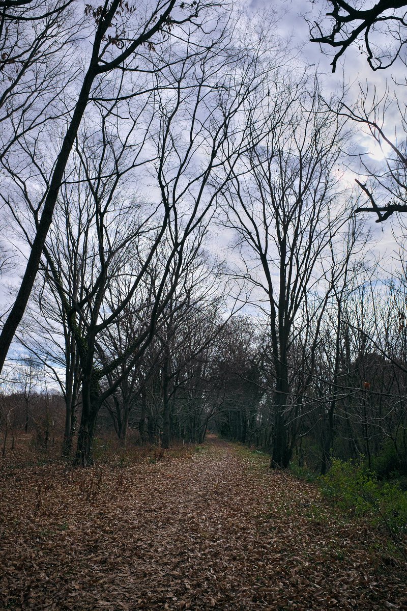 pw_synth's tweet image. 荒川　グラベル 
#streetphotography #street 
#snap #SILKYPIX #gravel 
#RICOHGR #GR #GRIII #GR3 
縦構図