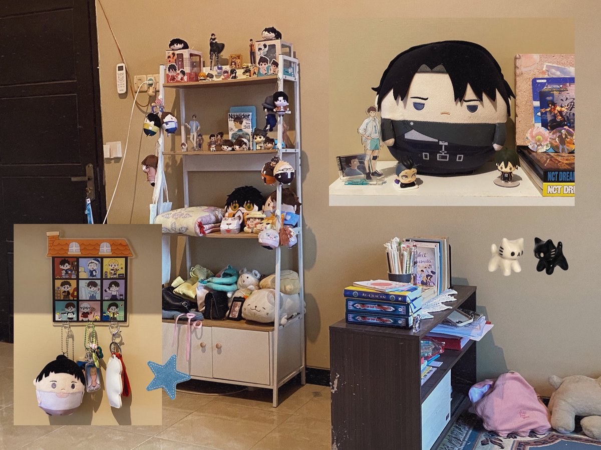 toorukins's tweet image. a girl's room is just a museum of everything she's ever loved (2026 ver.)