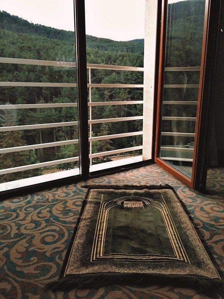 philocaaalist's tweet photo. ﴿ وَلَن تَجِدَ مِن دُونِهِ مُلْتَحَدًا ﴾.
المُلتحد: الملجأ

- الكهف (٢٧) https://t.co/paseC51bGR