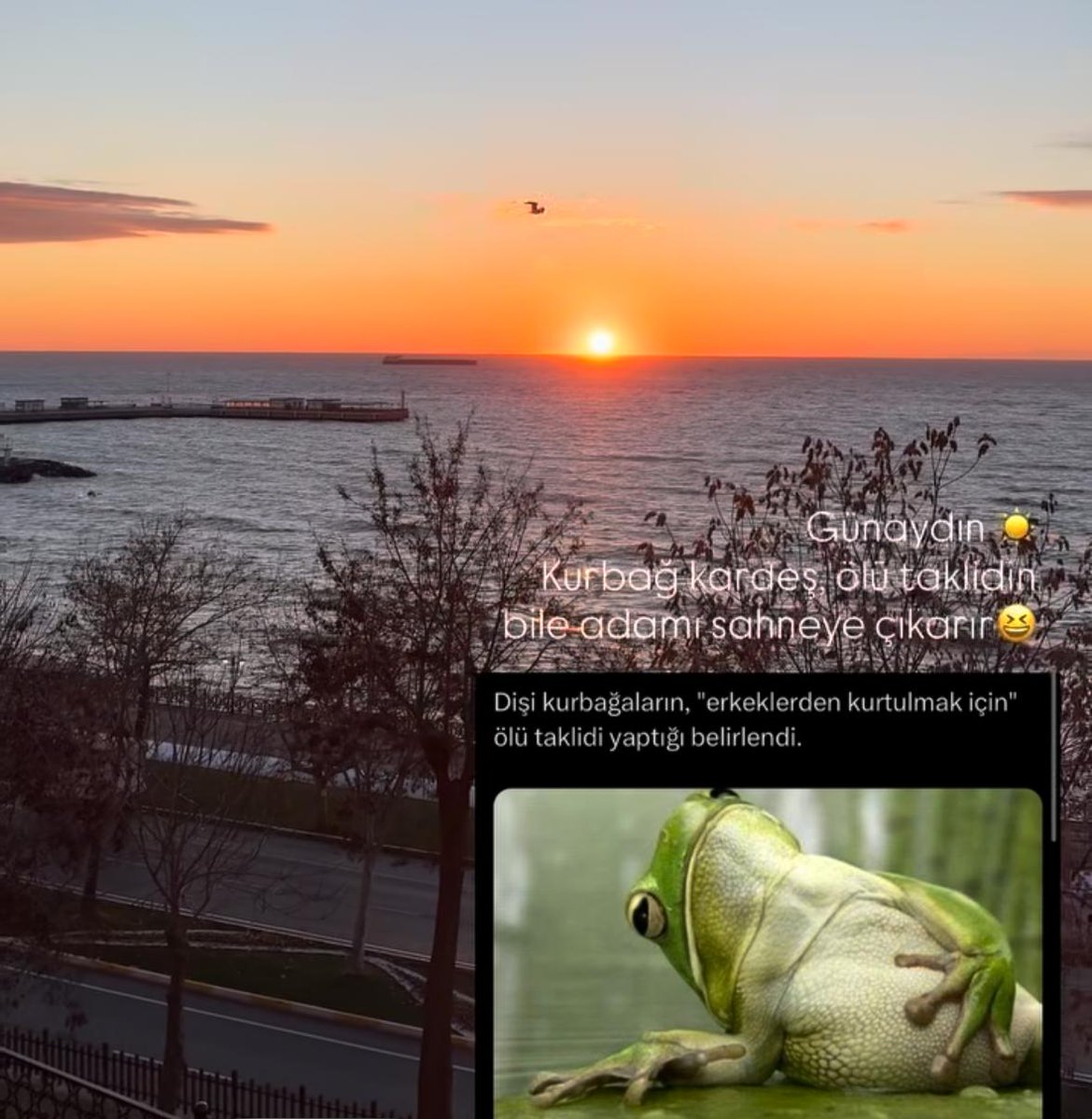 Cem Yılmaz'ın 38 yaşındaki eski sevgilisi Necla Karahalil'in paylaşımı: