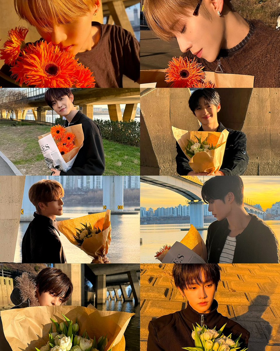 ALD1 PICS tweet media